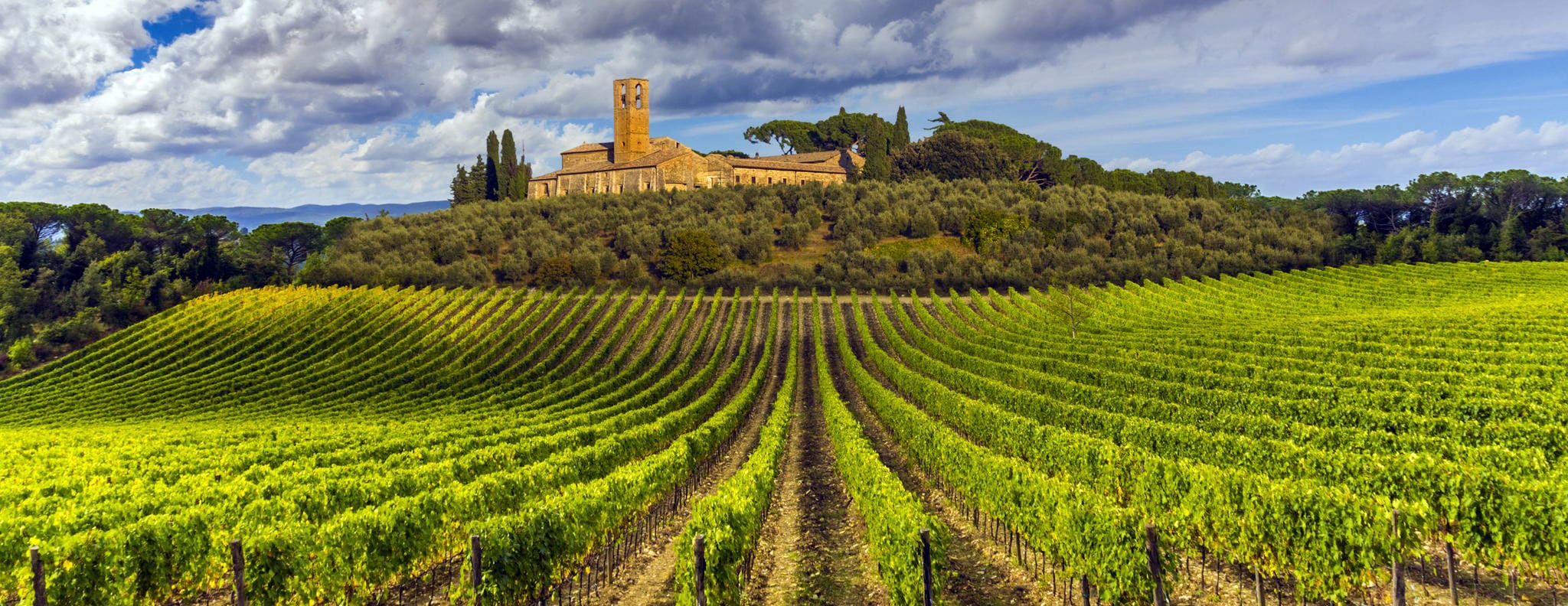 Wine Tour con guida a Cortona, Toscana | Tour con sommelier nel Chianti, a Montepulciano e Montalcino